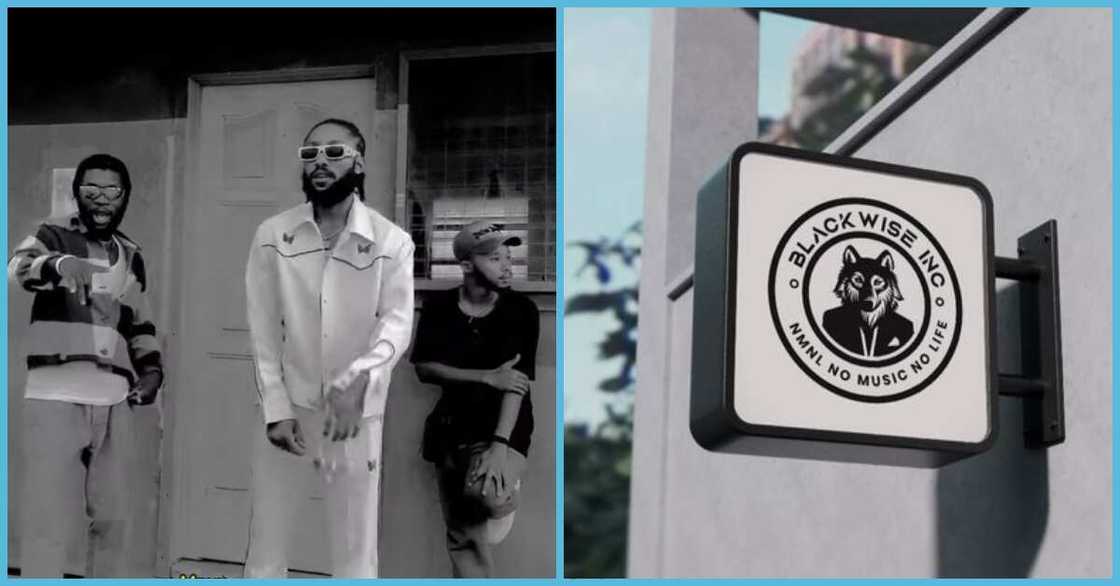 Blackwise Inc, a US-based Ghanaian record label Blackwise Inc, a US-based Ghanaian record label