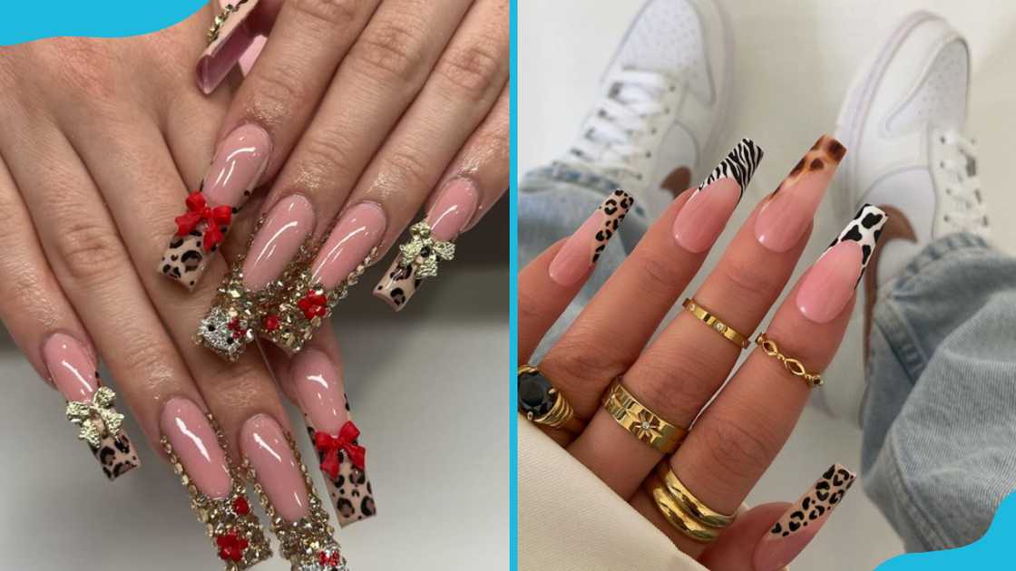 Medium-length animal print coffin Medium-length animal print coffin