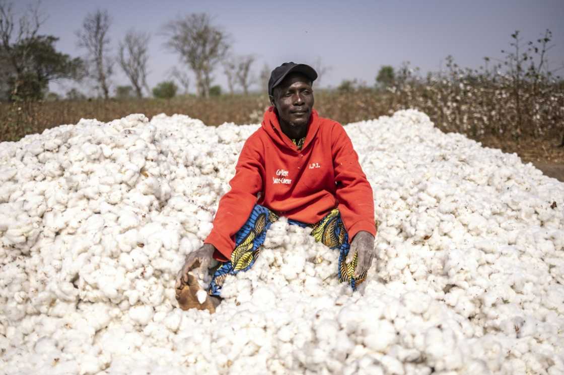 Mathias Azonnoudo says Benin authorities are encouraging cotton growers to produce more Mathias Azonnoudo says Benin authorities are encouraging cotton growers to produce more