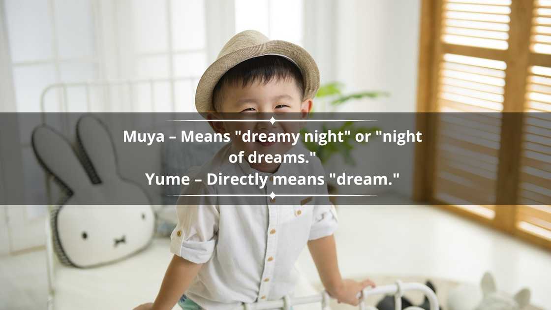 A small Japanese boy smiling for the camera A small Japanese boy smiling for the camera