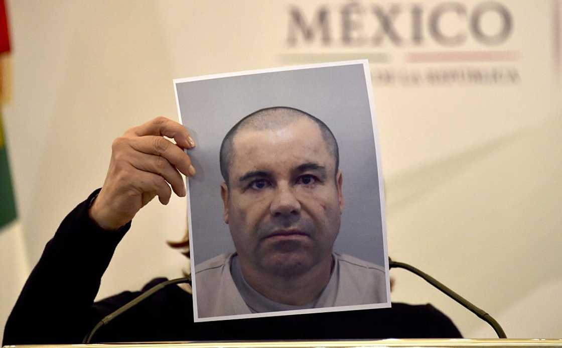 El Chapo's net worth El Chapo's net worth