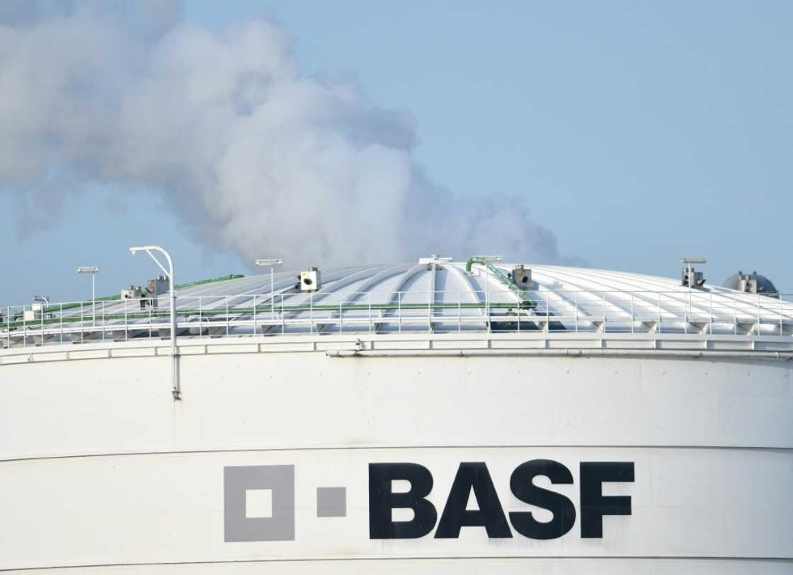BASF said it was 'more resilient than others' when it came to US tariffs due to its focus on producing locally BASF said it was 'more resilient than others' when it came to US tariffs due to its focus on producing locally