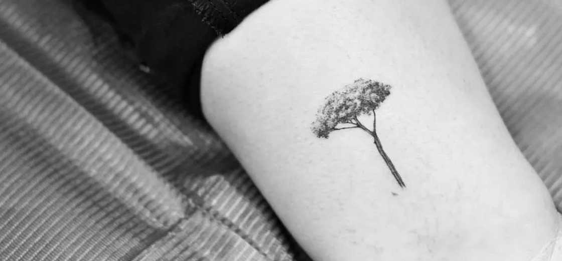 tree of life tattoo ideas tree of life tattoo ideas