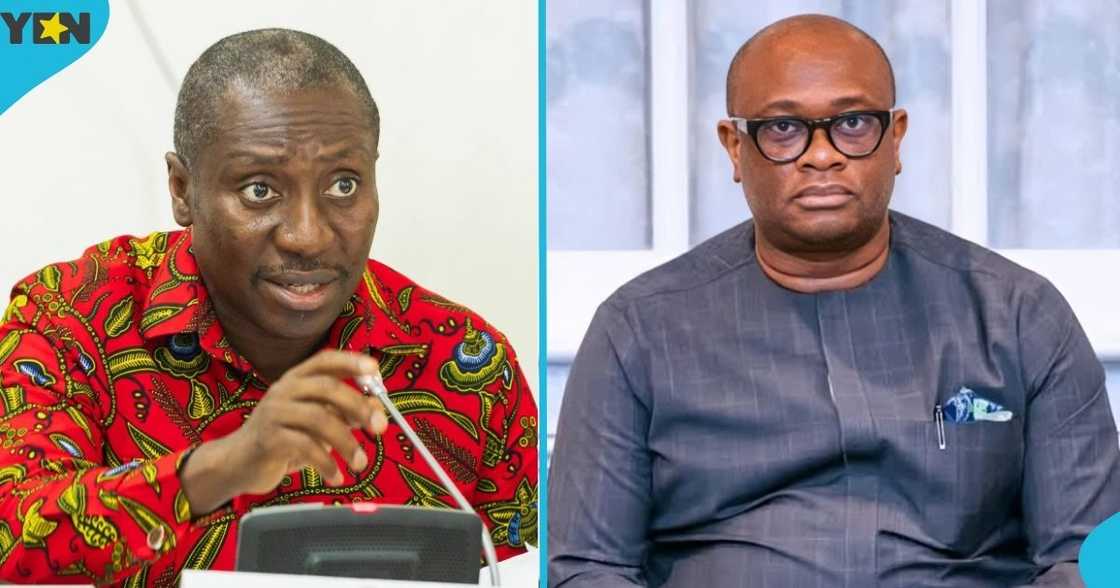 Minority in Parliament, Minority Leader, Alexander Afenyo-Markin, NPP, New Patriotic Party, anti-flood task force, Deputy Chief of Staff, Stan Dogbe.
