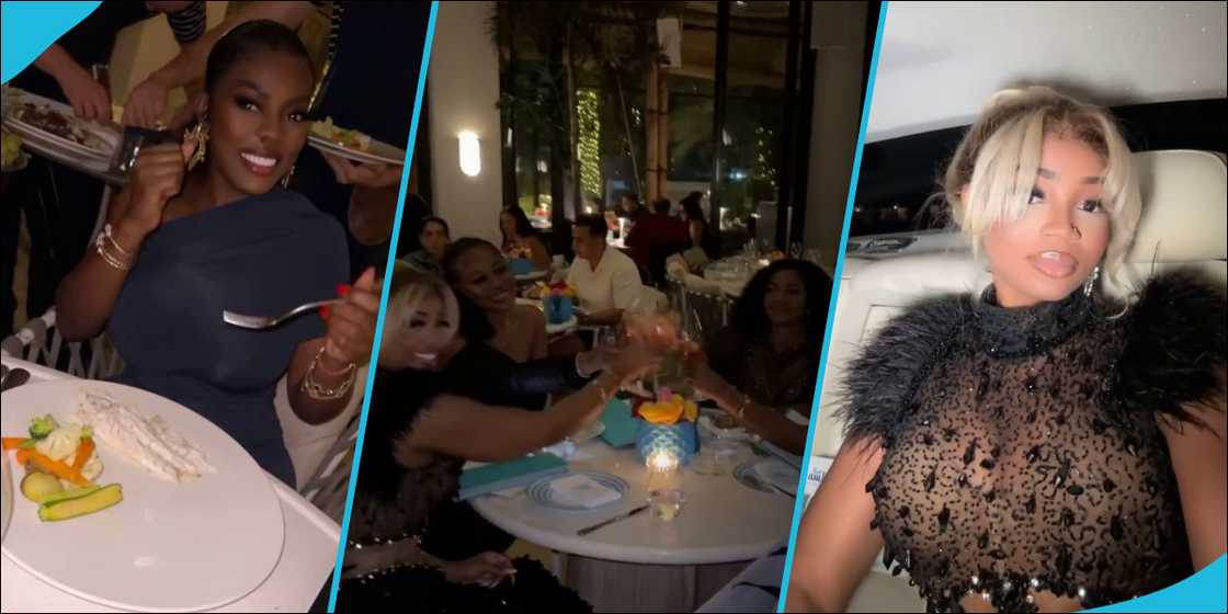 Serwaa Amihere's sister's birthday dinner Serwaa Amihere's sister's birthday dinner