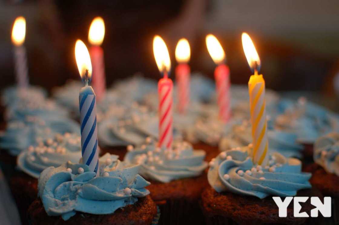 Happy birthday cousin quotes Happy birthday cousin quotes