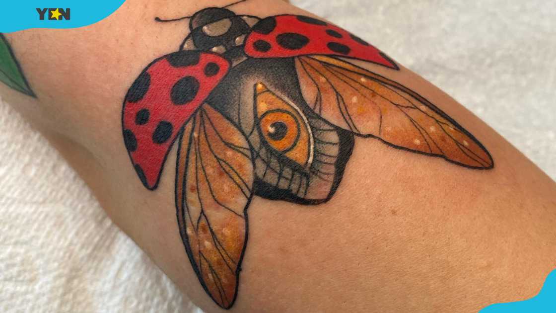 A detailed ladybug tattoo with its wings spread open