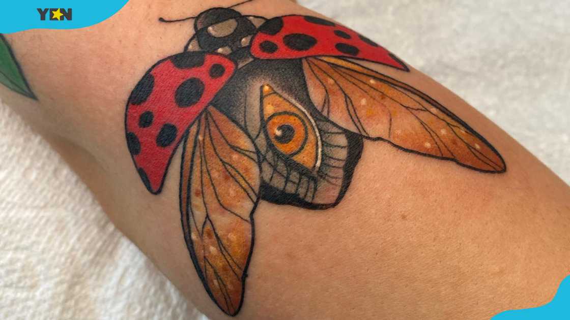 A detailed ladybug tattoo with its wings spread open A detailed ladybug tattoo with its wings spread open