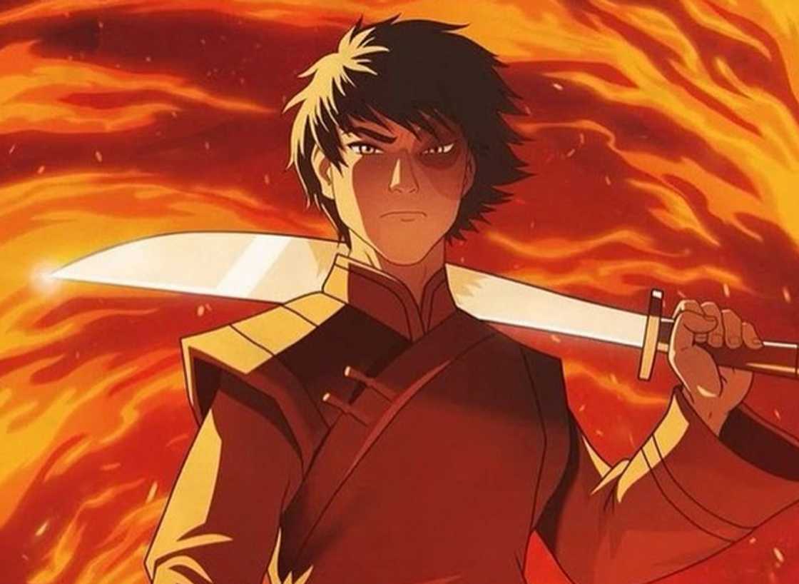Prince Zuko from Avatar: The Last Arbende Prince Zuko from Avatar: The Last Arbende