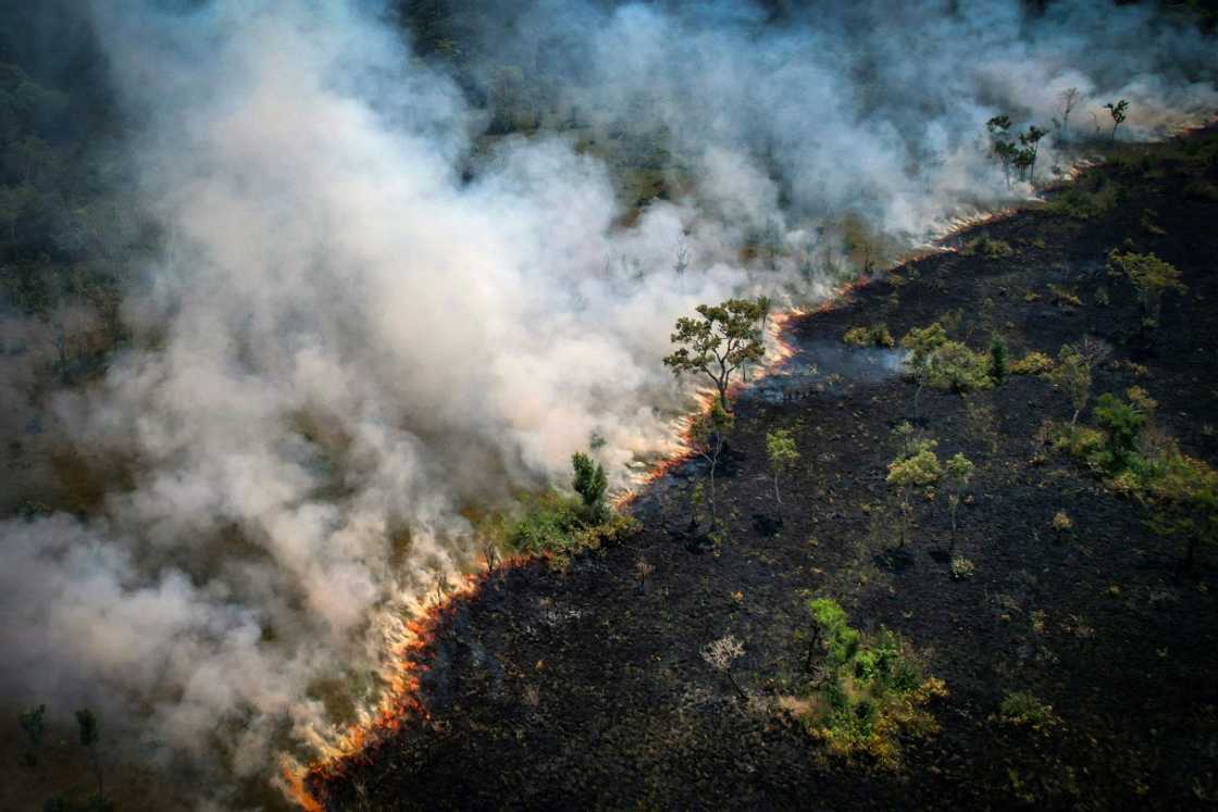 Aerial view of a burnt area in the Amazon rainforest, near the Lago do Cunia Extractive Reserve, on the border of the states of Rondonia and Amazonas, northern Brazil, on August 31, 2022 Aerial view of a burnt area in the Amazon rainforest, near the Lago do Cunia Extractive Reserve, on the border of the states of Rondonia and Amazonas, northern Brazil, on August 31, 2022