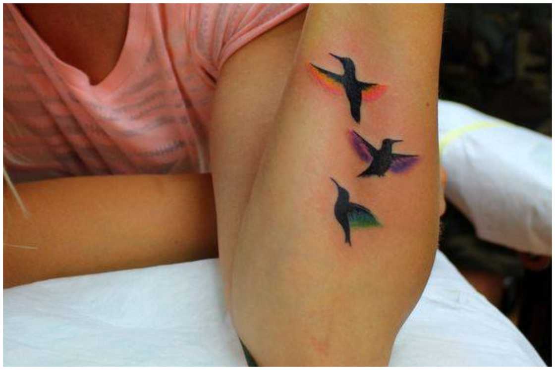 Hummingbird tattoo