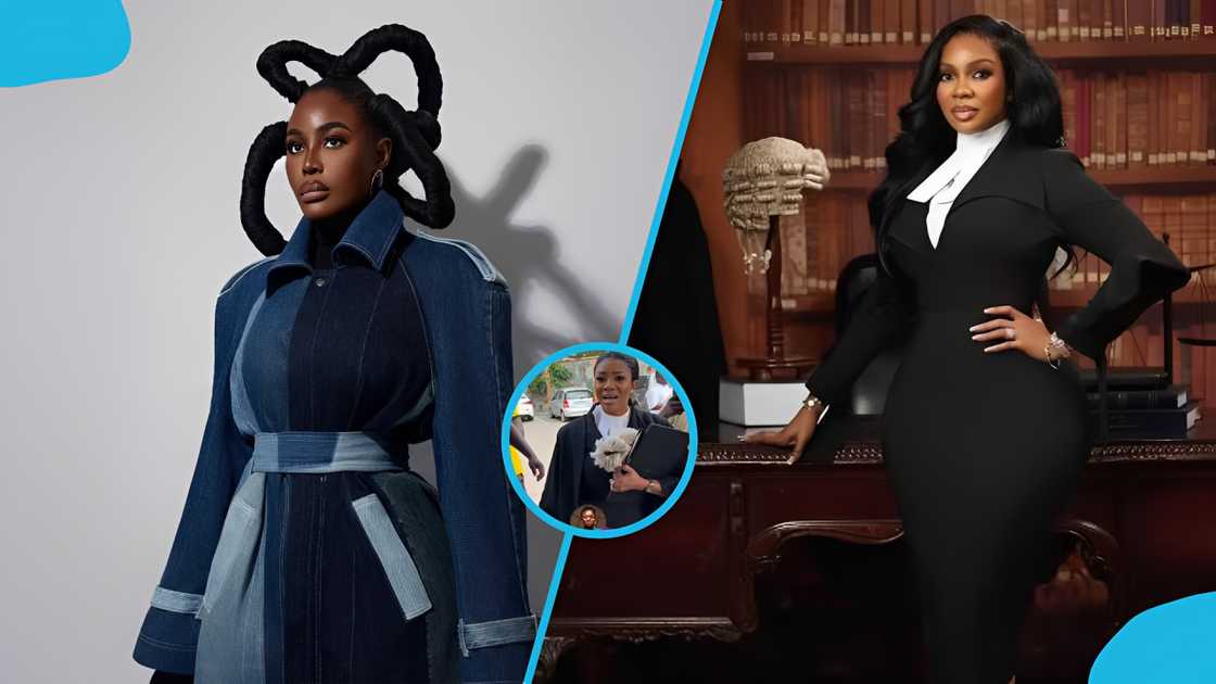 Serwaa Amihere DOVVSU court, Serwaa Amihere lawyer, Nana Akua Addo case, Nana Akua Addo Harold Norman, Serwaa Amihere Nana Akua Addo, DOVVSU court Accra