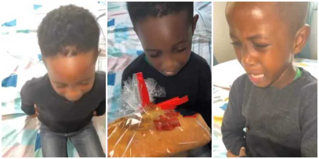 I want a baby sister: Little boy tearfully demands from mom as he rejects her cake gift, video sparks reactions I want a baby sister: Little boy tearfully demands from mom as he rejects her cake gift, video sparks reactions