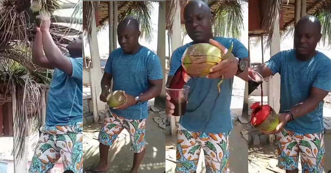 Video showing bloody coconut water is not real Video showing bloody coconut water is not real