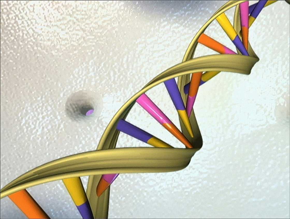 Google's new AI tool can read DNA like a language, and see immediately if a word substitution will change the meaning of that sentence, the company says Google's new AI tool can read DNA like a language, and see immediately if a word substitution will change the meaning of that sentence, the company says