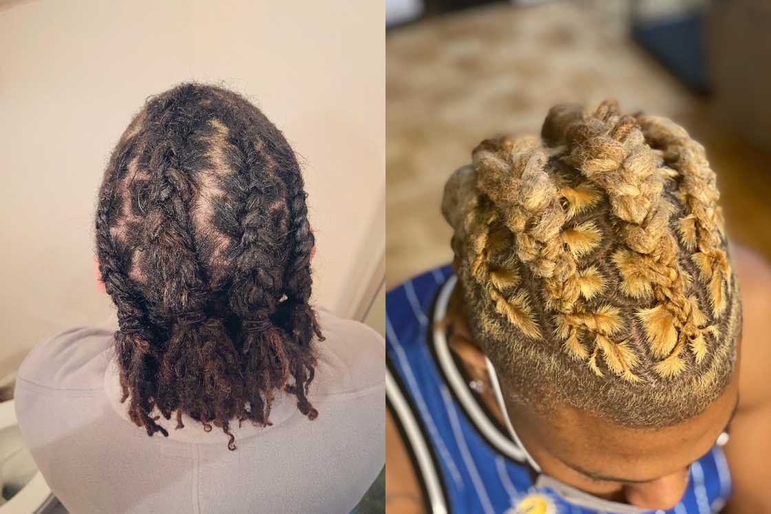 starter locs