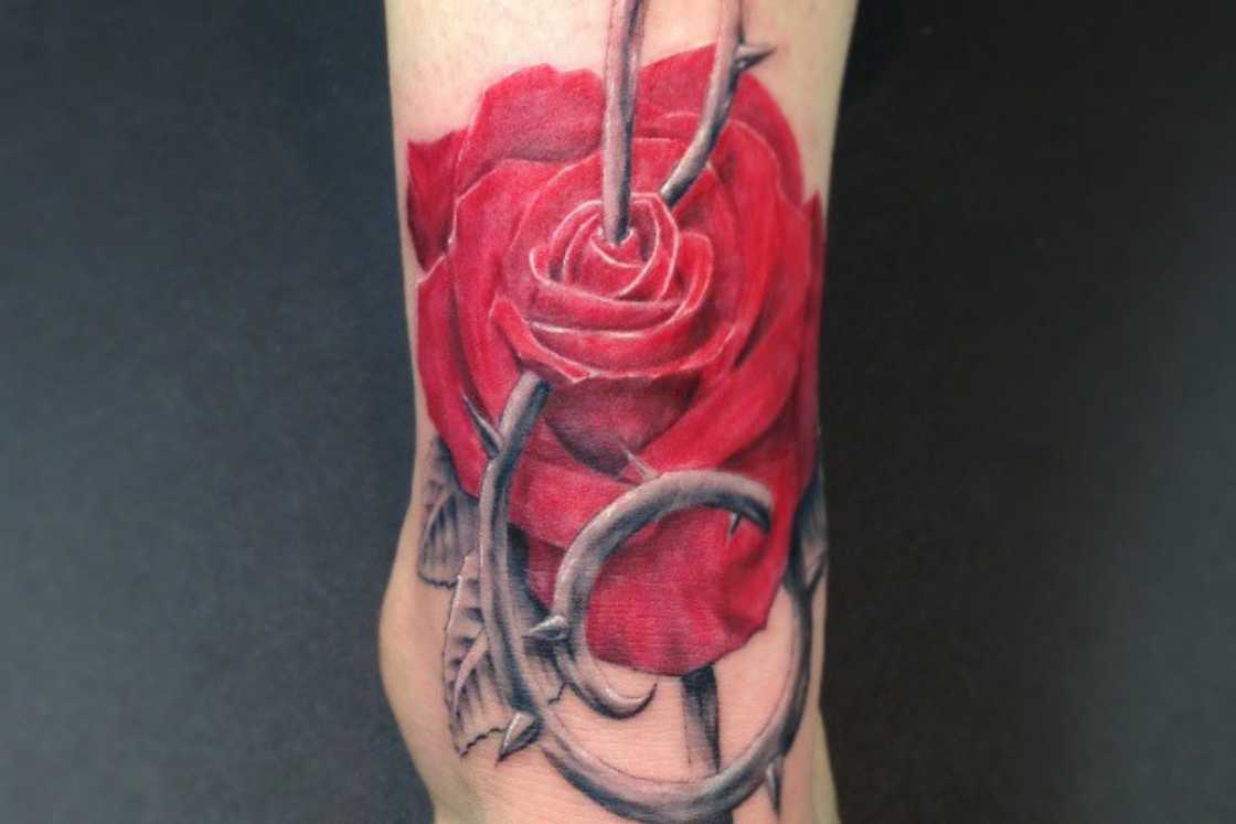 music tattoo music tattoo