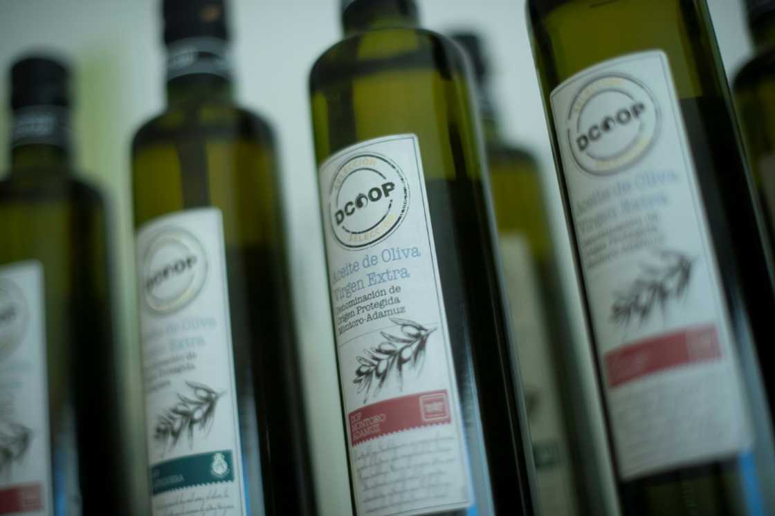 Spain is one of the world's largest producers and consumers of olive oil Spain is one of the world's largest producers and consumers of olive oil