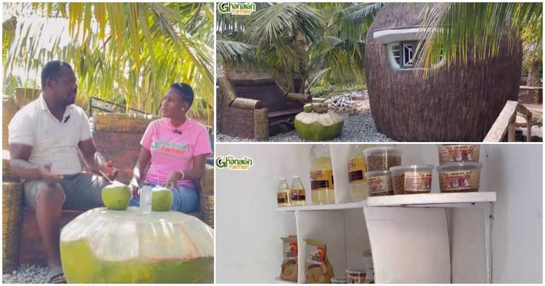 A Ghanaian man shares how he abandoned his optometrist profession to start a coconut resort