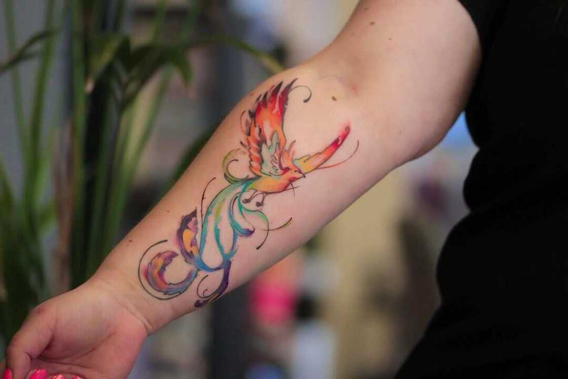 phoenix tattoo