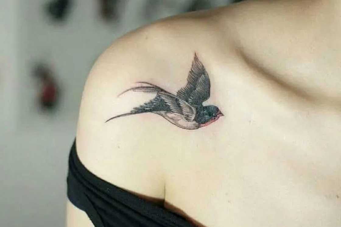 A flying bird front shoulder tattoo A flying bird front shoulder tattoo