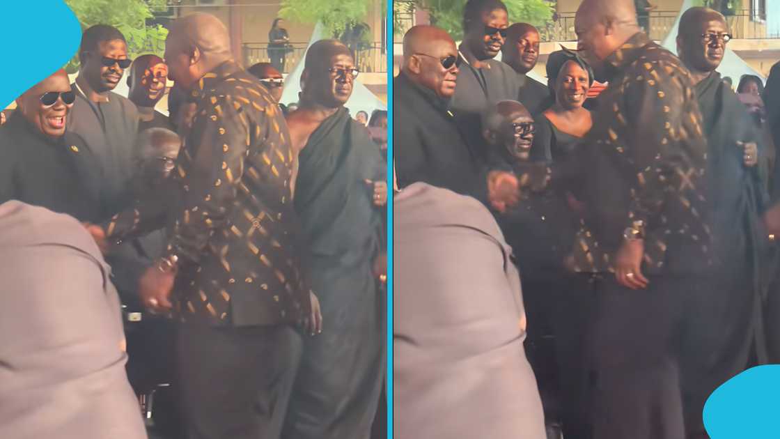 Nana Akufo-Addo, John Mahama, Akufo-Addo stands for Mahama