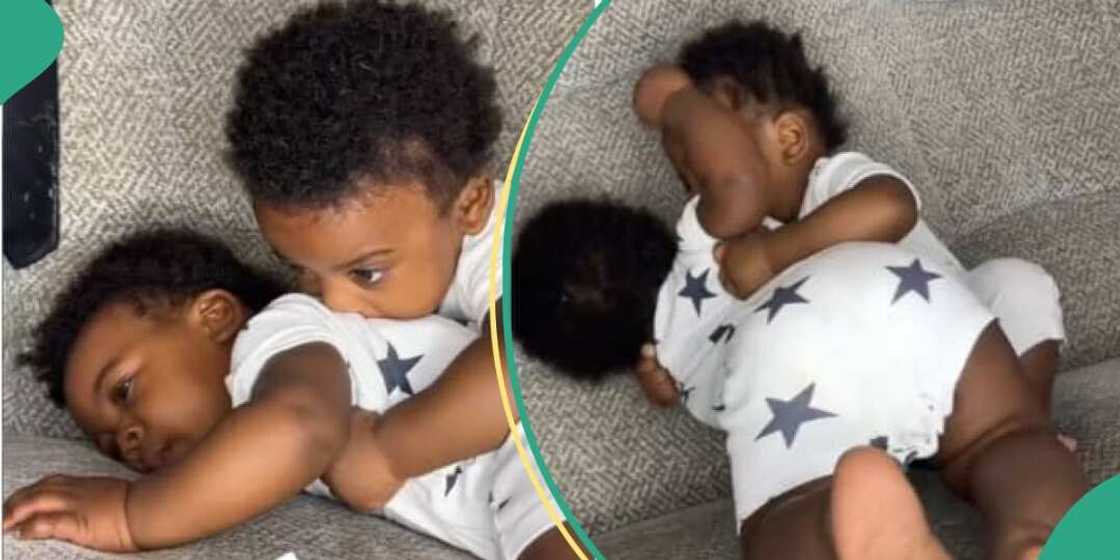 Twin boys turn their mother's sitting room into wrestling ring Twin boys turn their mother's sitting room into wrestling ring