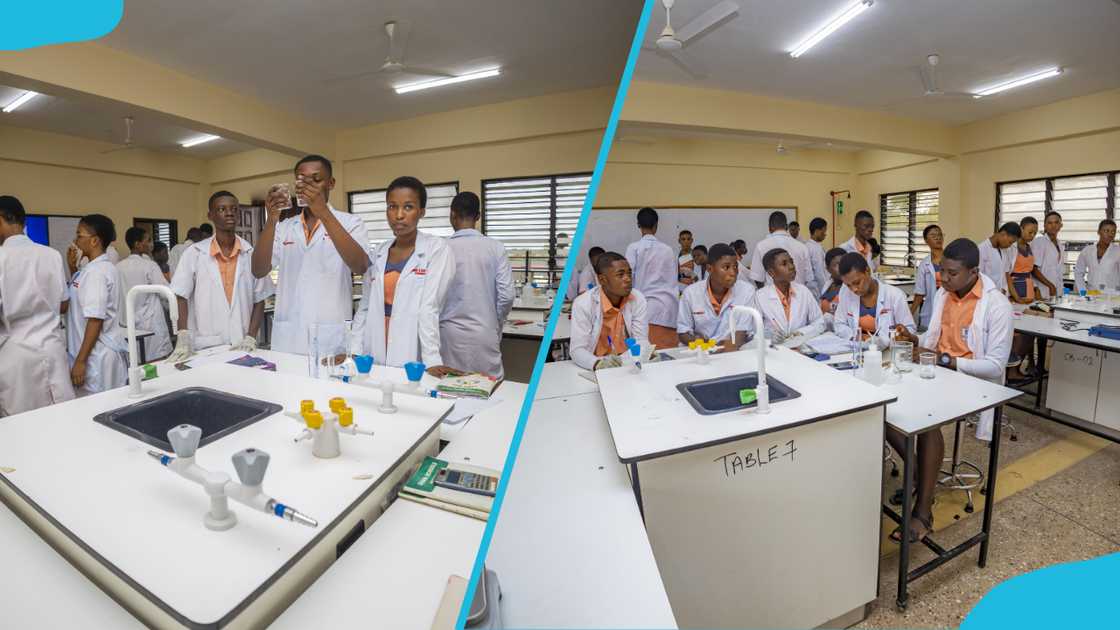 Students in the laboratory doing experiments Students in the laboratory doing experiments
