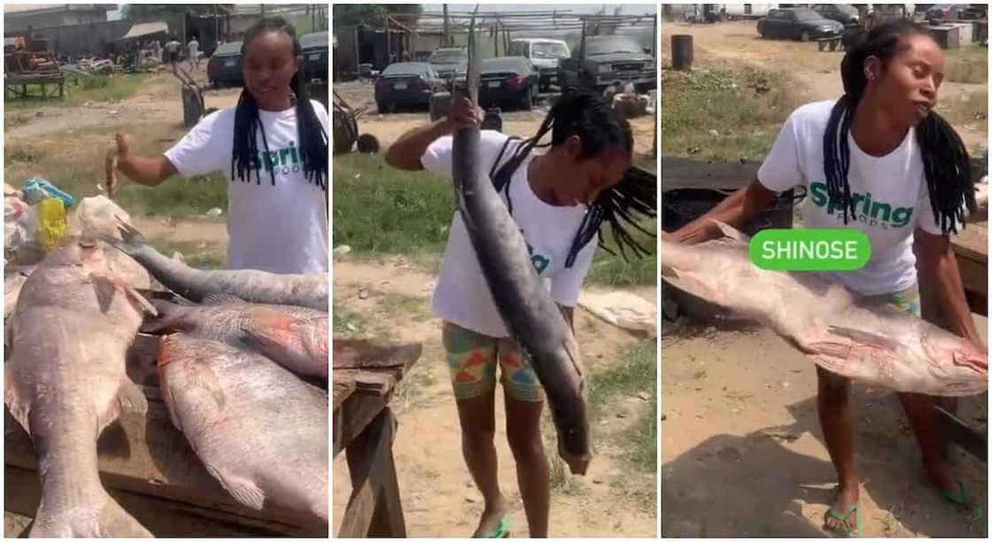 Photos of a lady who sells fish display her fishes.