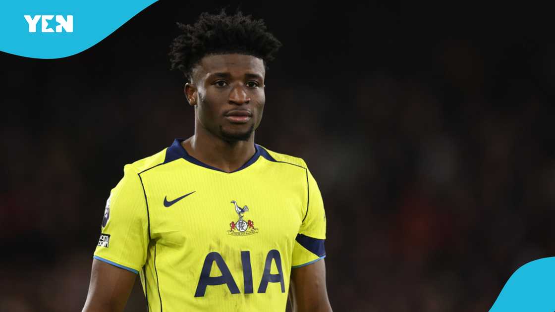 Asamoah Gyan, horse placenta treatment, AFCON 2012, Marijana Kovačević, Ghana football recovery, Mohammed Kudus injury, muscle repair methods, alternative medicine in sports, Ghana Black Stars, Kudus injury setback.