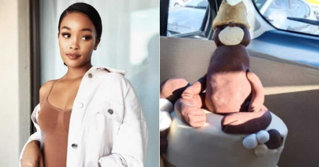 Cake, Disaster, Ordered, Mzansi, Social media, Woman, Horror movie, Bewildered, Reactions, Miss SA 2018 Cake, Disaster, Ordered, Mzansi, Social media, Woman, Horror movie, Bewildered, Reactions, Miss SA 2018