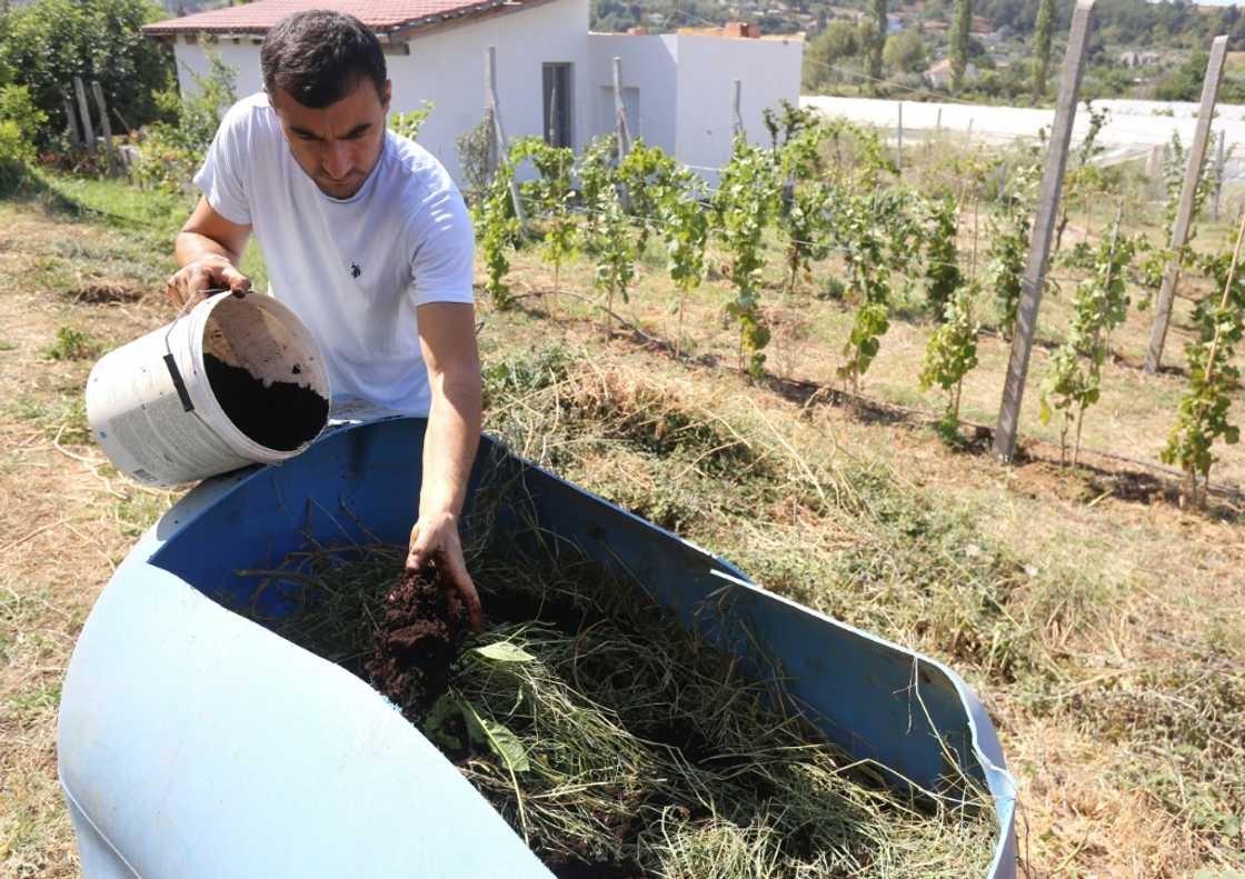 Albanian farmer Alban Cakalli can't afford chemical-based fertilisers imported from abroad