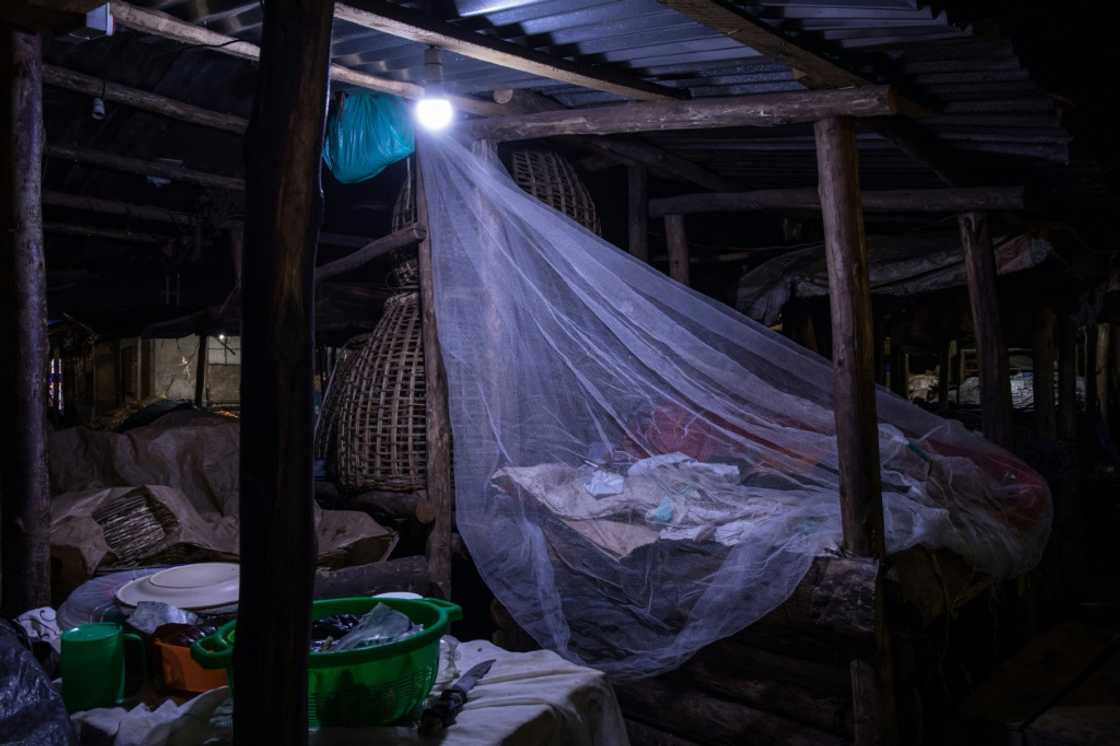 Bednets sprayed with insecticide has been an important tool in the fight against malaria -- but the Anopheles stephensi is resistant to the insecticide Bednets sprayed with insecticide has been an important tool in the fight against malaria -- but the Anopheles stephensi is resistant to the insecticide