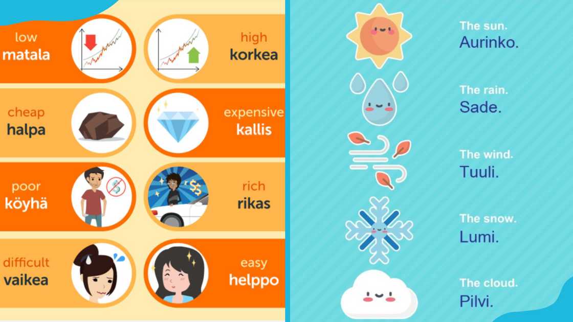 Finnish adjectives and nouns with their English translations