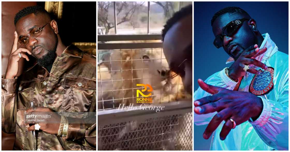 Lion Jumps On Sarkodie's Safari Ride, He Smiles And Take Pictures Lion Jumps On Sarkodie's Safari Ride, He Smiles And Take Pictures