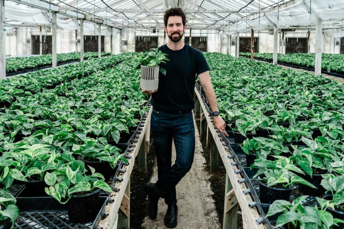 Lionel Mora, co-founder of French startup Neoplants, poses for a portrait inside the greenhouse where they grow the Marble Queen pothos plants in Lodi, California