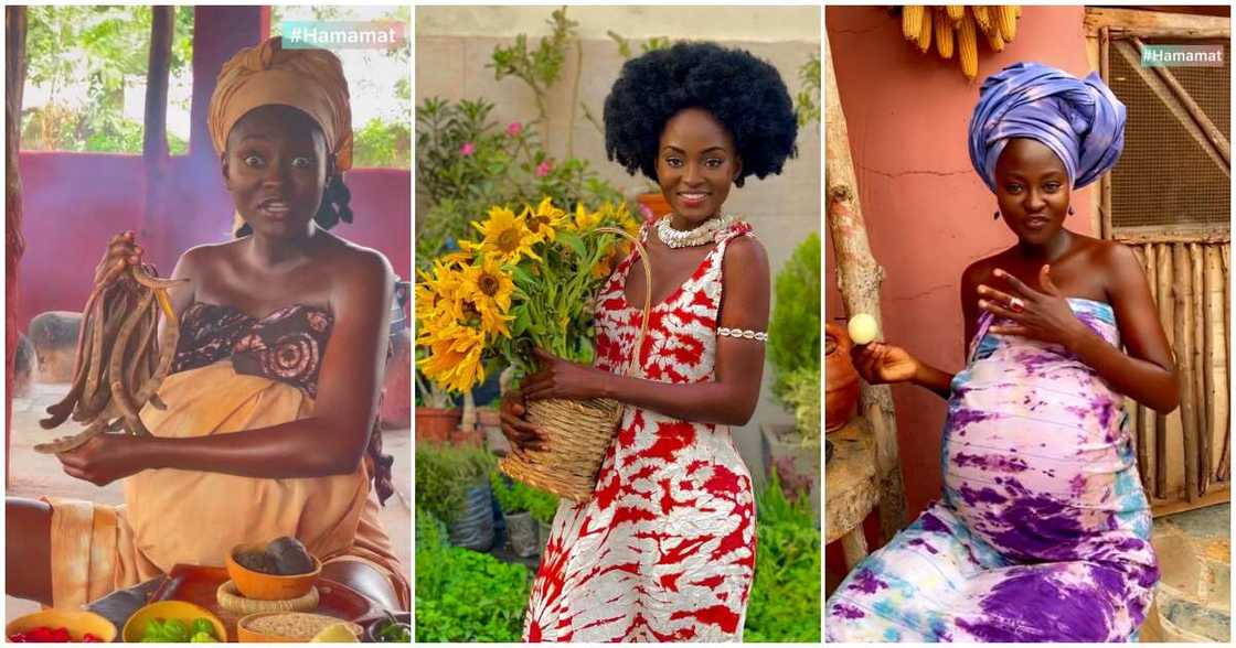 Hamamat Montia Hamamat Montia