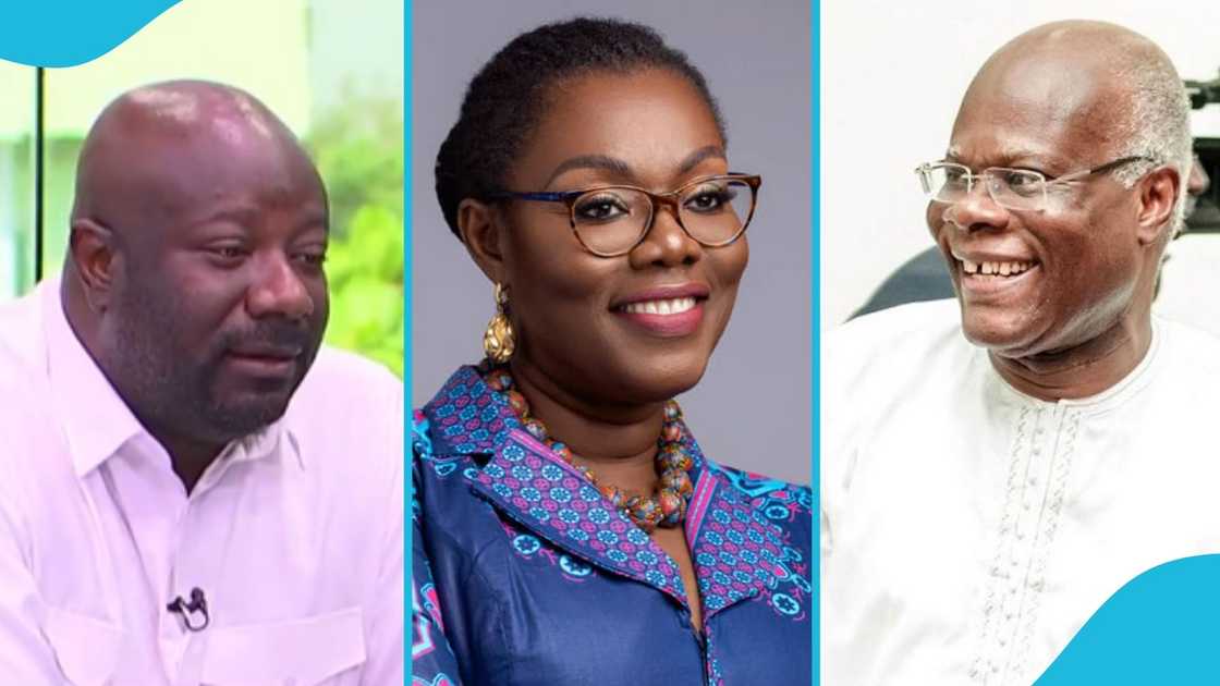 Top NPP Man, Parliamentary Candidates, Ghana Elections, Mansion, 2024 Elections