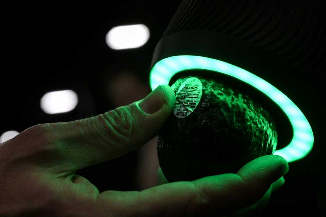 A device developed by the start-up company OneThird tells consumers if their avocados are ripe or not