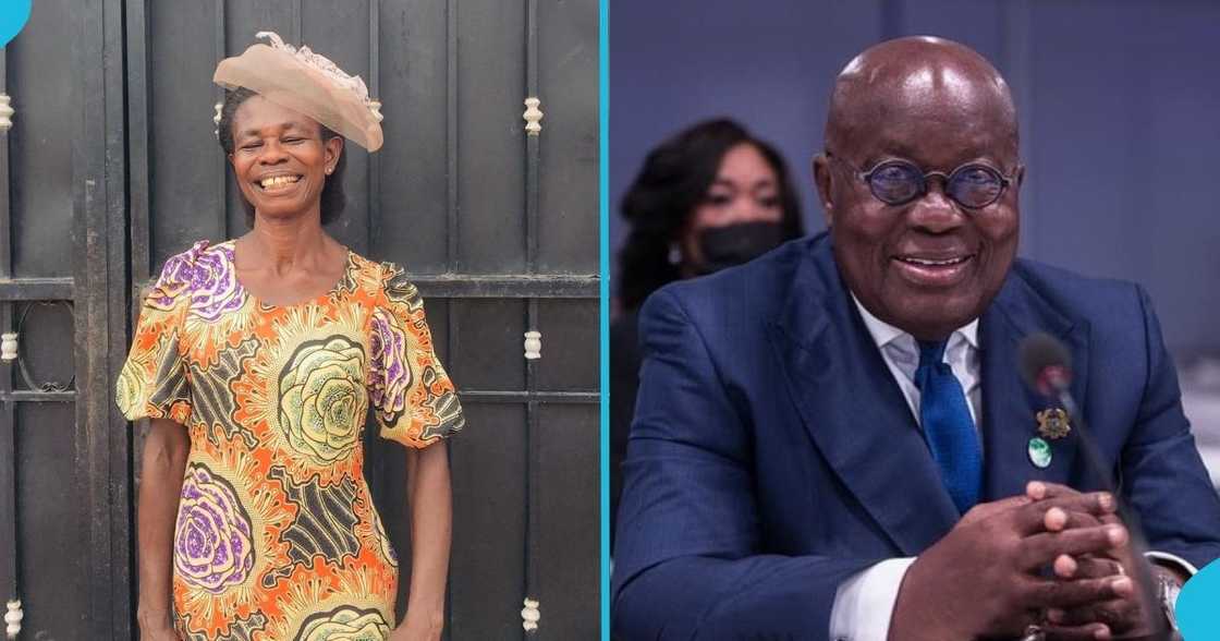 Akufo-Addo, Ghanaian woman, former president, free SHS, crate of eggs Akufo-Addo, Ghanaian woman, former president, free SHS, crate of eggs