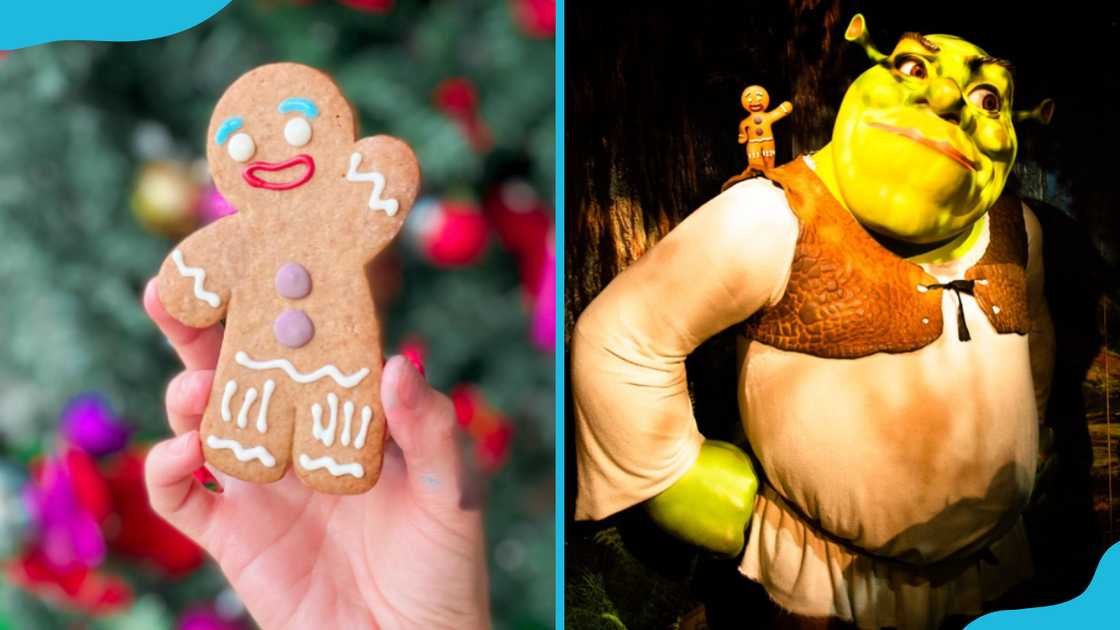 Gingerbread Man and Shrek