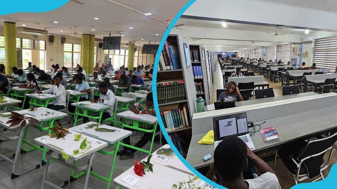 KNUST students in the classroom learning about plants. Students in the library. KNUST students in the classroom learning about plants. Students in the library.