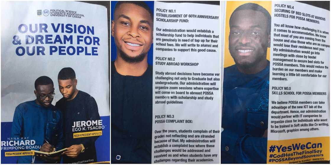 Collage of the campaign flier Collage of the campaign flier