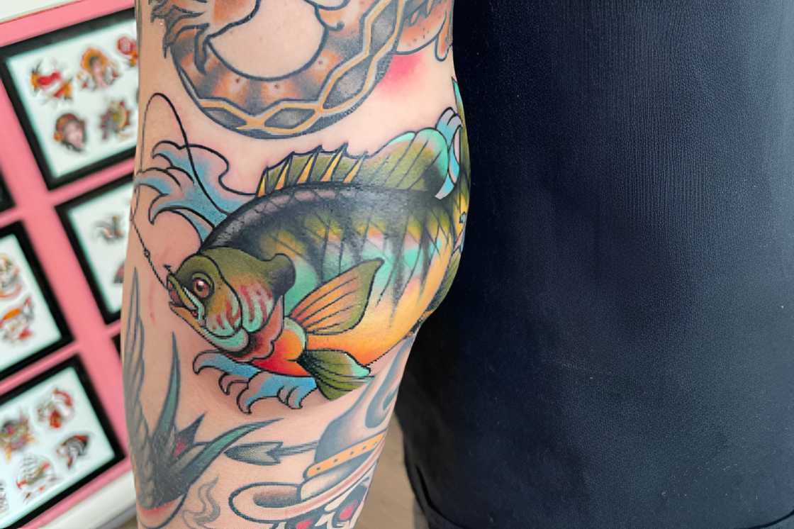 A coloufful fish elbow tattoo A coloufful fish elbow tattoo