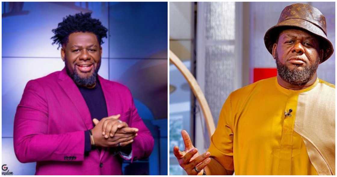 Bullgod poses in suit Bullgod poses in suit