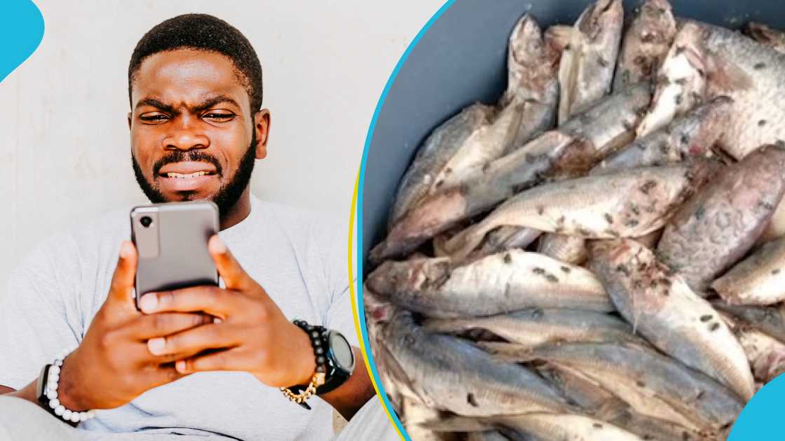 Two Market Women At Nsawam Arrested For Trying To Selling Rotten Fish Two Market Women At Nsawam Arrested For Trying To Selling Rotten Fish