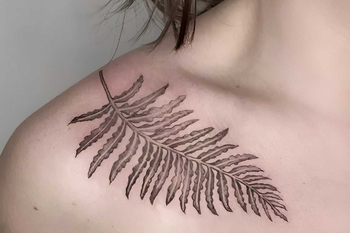 Black and grey leaf shoulder tattoo Black and grey leaf shoulder tattoo