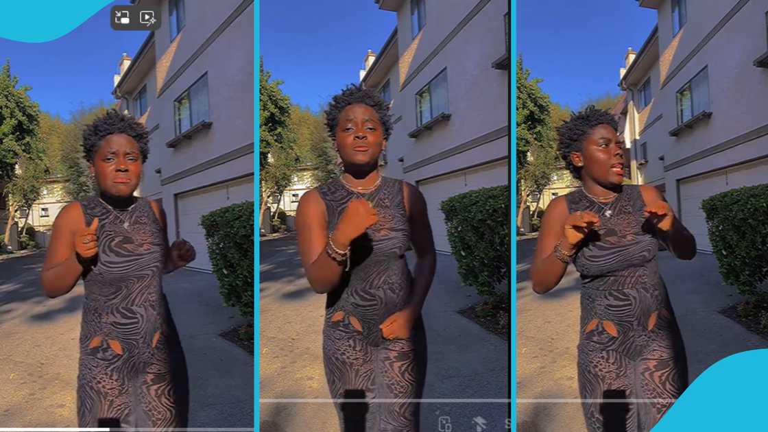 DJ Switch, DJ Switch dances, DJ Switch's songs, DJ Switch's parents, School, Teacher, School in the US DJ Switch, DJ Switch dances, DJ Switch's songs, DJ Switch's parents, School, Teacher, School in the US