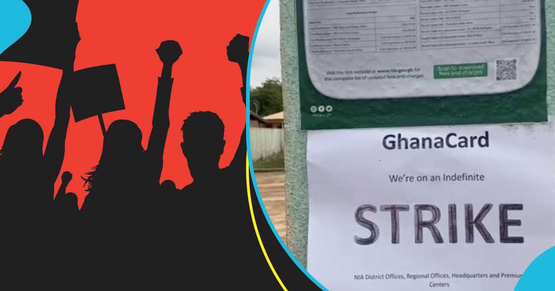 NIA Staff Call Off Strike, Demand Government To Act In Good Faith NIA Staff Call Off Strike, Demand Government To Act In Good Faith