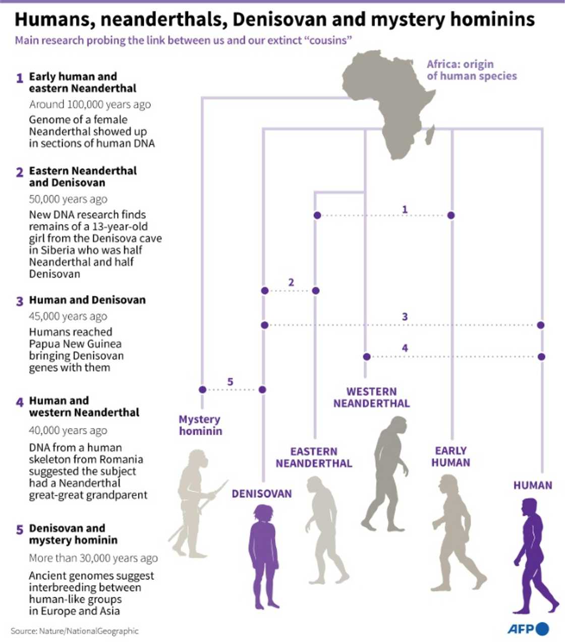 Humans, neanderthals, Denisovan and mystery hominins Humans, neanderthals, Denisovan and mystery hominins